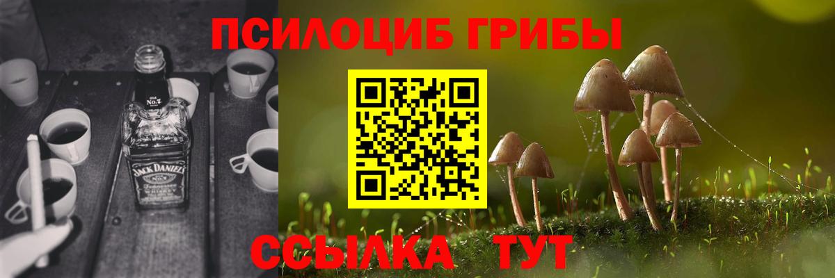 Псилоцибиновые грибы GOLDEN TEACHER  Вход с VPN  Галлюциногенные грибы Psilocybe  Кызыл 
